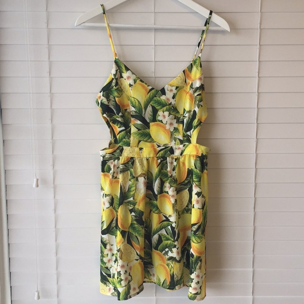 Show Me Your Mumu Dress - Picture 3 of 6